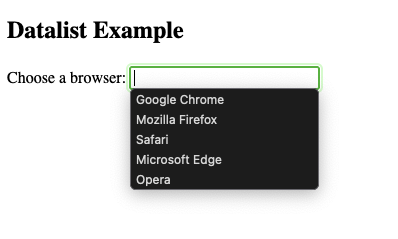 HTML <datalist> Tag Example - Choosing an option from the options