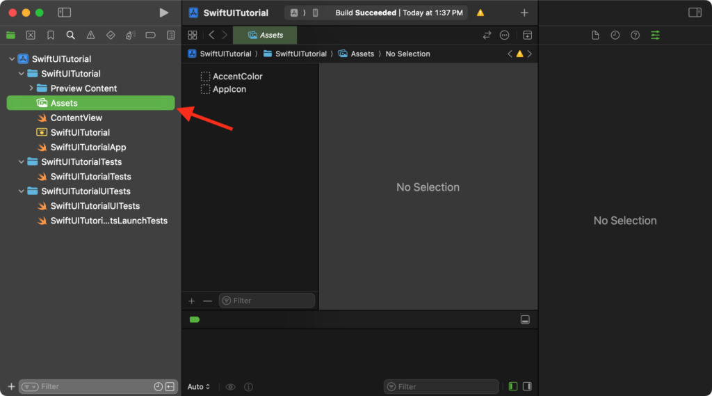 Locate and select the Assets.xcassets file