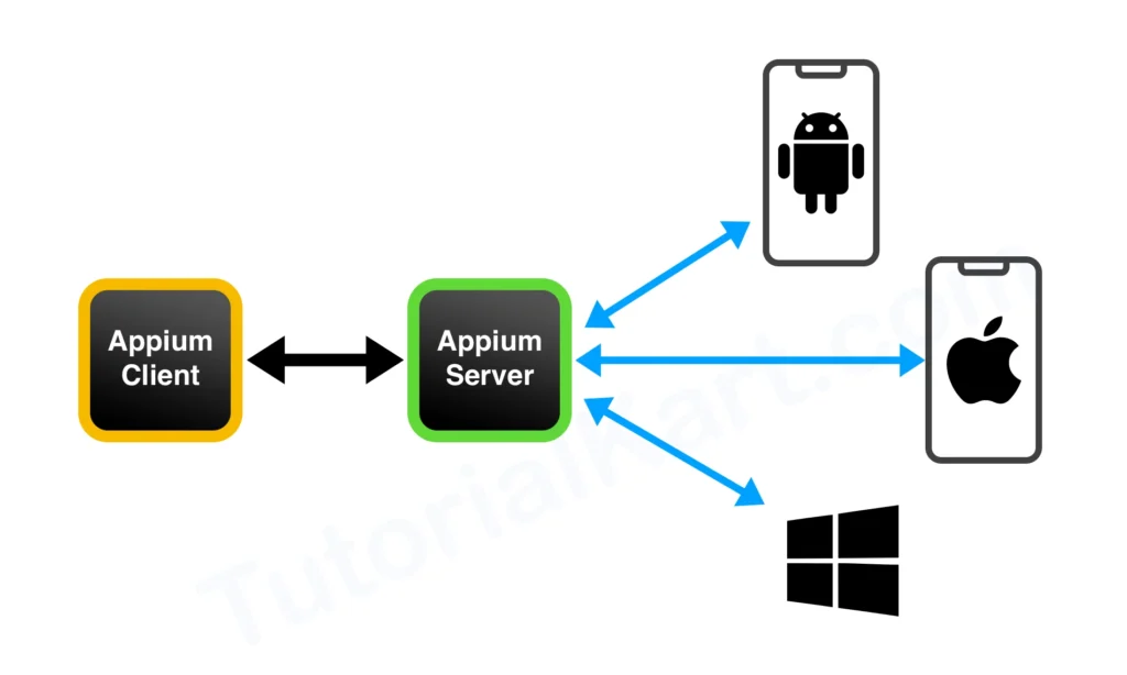 Appium Server