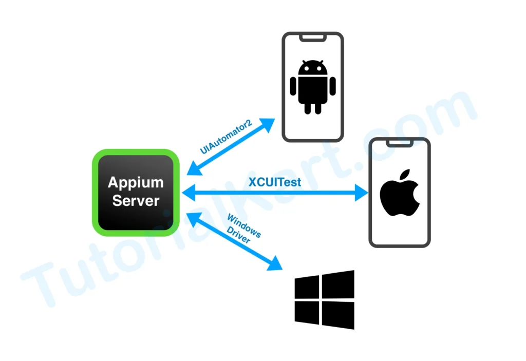 Appium Drivers