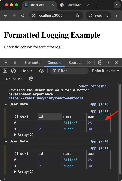 React Example for Enhanced Logging with Formatting