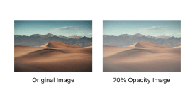 Comparing Original and Transparent Images