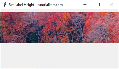 Setting Label Height with an Image in Pixels in Tkinter Python